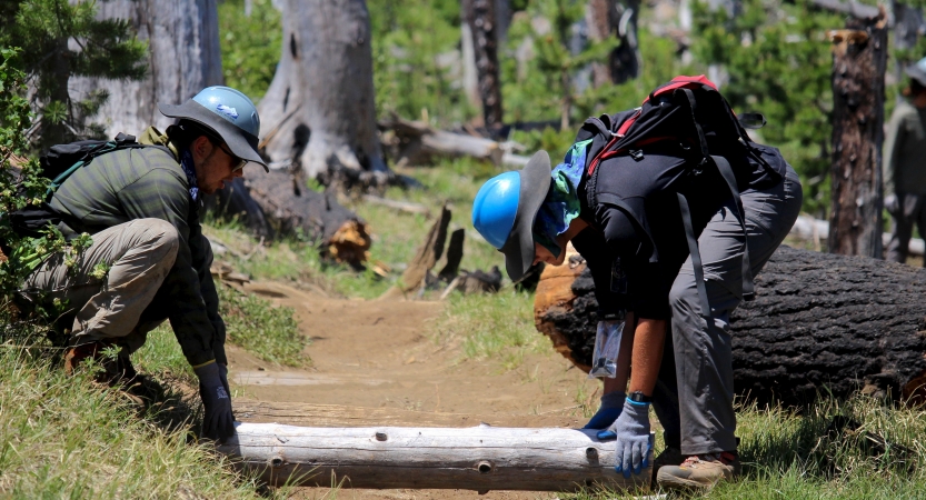 two students prepare to lift a log off a trail while completing a service project with outward bound